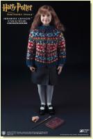 Hermione Granger Casual Wear The Harry Potter and the Sorcerers Stone Sixth Scale Harry Potter Figure