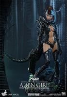 Alien Girl Xenomorph The Hot Angel Sixth Scale Collectible Fgure