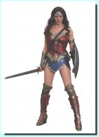 Gal Gadot As Wonder Woman The Dawn of Justice Sixth Scale Collectible Figure