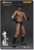 Bruce Lee The Martial Artist Premium Figure
