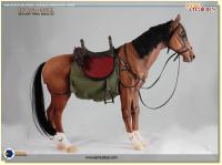 The Brown Articulated Saddled Horse for Sixth Scale Figure