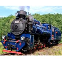Slezské zemské dráhy #U57 001 Malý Štokr Blue Scheme Class U57 Narrow-Gauge Steam Locomotive for Model Railroaders Inspiration