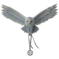 Awaken Your Magic The Owl Premium Figure Wall Plaque