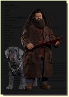 Rubeus Hagrid The Harry Potter and the Sorcerers Stone Deluxe Version Sixth Scale Harry Potter Figure