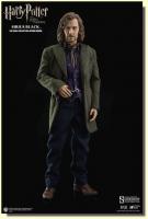 Sirius Black The Harry Potter and the Sorcerers Stone Sixth Scale Harry Potter Figure