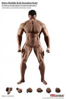 Mr BIG The Super-Flexible Male Seamless Body for Sixth Scale Figure PL2018-M35