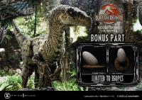 Velociraptor FEMale The Jurassic Park III Legacy Museum BONUS Sixth Scale Statue Diorama pravěký svět