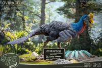 Oviraptor The Egg Thief Wonder Wild Statue Diorama 