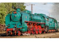 Československé Dráhy ČSD #486.007 Green Anton Scheme Class 486.0 (31Lo) Steam Locomotive & Tender for Model Railroaders Inspiration