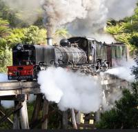 South Australian Railways #6029 3ft 6inch Gauge 4-8-2+2-8-4 Beyer-Garratt Steam Locomotive for Model Railroaders Inspiration