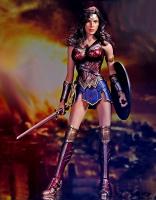 Female Wonder Warrior Sixth Scale Collector Figure (Wonder Woman)