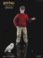 Harry Potter Casual Wear The Harry Potter and the Sorcerers Stone Sixth Scale Harry Potter Figure