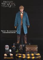 Eddie Redmayne As Newt Scamander Fantastic Beasts Sixth Scale Collectible Figure
