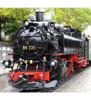 Deutsche Reichsbahn DR #99 731 HOe Sachsen Class 99 Steam Locomotive DCC & Sound