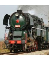 Československé Dráhy ČSD #464.202 Rosnička Green Scheme Class 464.2 Steam Locomotive & Tender for Model Railroaders Inspiration