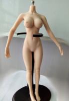 Super Flexible Female Seamless Body for Sixth Scale Figure (Pale & Large Breast size)  S04B 