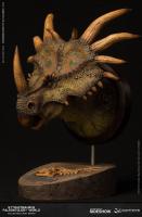 Styracosaurus Museum Series Bust pravěký svět