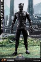 Chadwick Boseman A.K.A. King T Challa / Black Panther Sixth Scale Collectible Figure