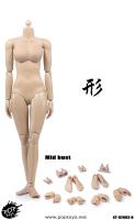 Highly Flexible Female Body for Sixth Scale Figure (Dark & Medium Breast Size)  XING ST-92003-B