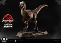 Velociraptor & Open Mouth The Jurassic Park 1/10 Prime Collectibles Statue  pravěký svět