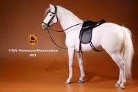 Hannover The German Hanoverian Warmblood Horse For Sixth Scale Figure