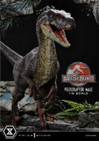 Velociraptor Male The Jurassic Park III Legacy Museum BONUS Sixth Scale Statue Diorama pravěký svět