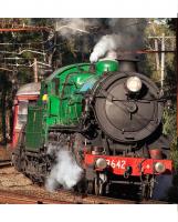New South Wales Raoilways NSWGR #3642 Australia Heritage Express Eucalyptus Green Scheme 4-6-0 Class C36 Steam Locomotive & Coal Tender for Model Railroaders Inspiration