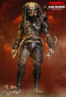 Elder Predator 2 Prime Sixth Scale Collectible Figure