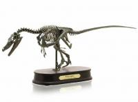 Velociraptor Skeleton Fossil kostra zkameněliny