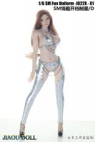 Seductive Girl Open Crotch Silver Sexy Accessories Set for Sixth Scale Figure PH UDJO