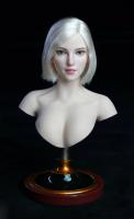 Caucasian Pale Beauty Female Head Sculpt A for Sixth Scale Figure