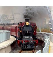 Steamrail Victoria #K153 Australia Hurstbridge Wattle Festival 2-8-0 Victorian Class 100 K Steam Locomotive & Coal Tender for Model Railroaders Inspiration